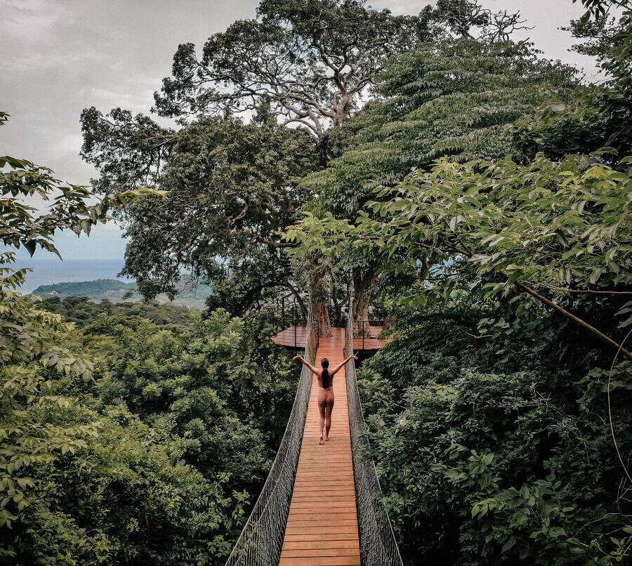 TreeCasa Nature Platfrom Mirador