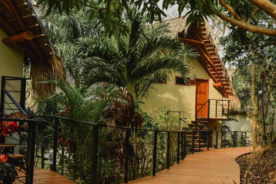 The Canopy Suites at TreeCasa Resort, surrounded by lush green trees and tall palms, blend seamlessly into the natural environment.